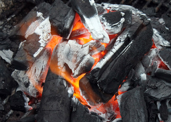 lump charcoal supplier