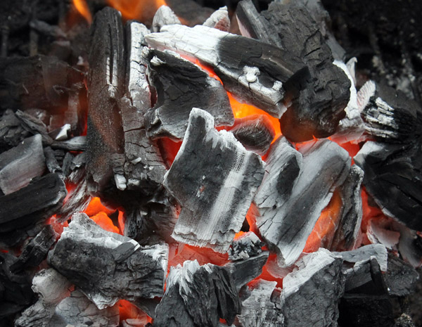 Hardwood lump charcoal